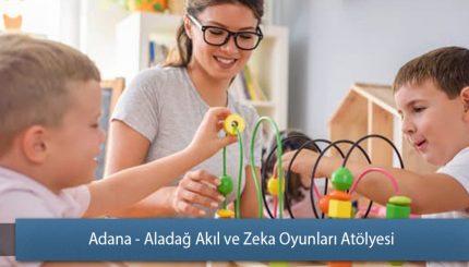 Adana - Aladağ Akıl ve Zeka Oyunları Atölyesi