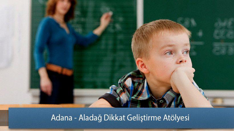 Adana - Aladağ Dikkat Geliştirme Atölyesi