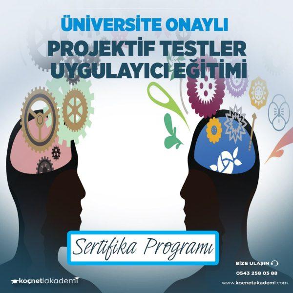 projektif test uygulayıcılığı eğitimi sertifikası