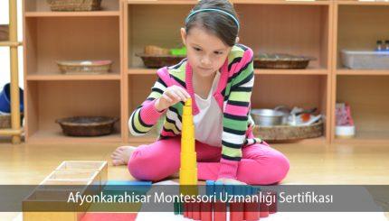 Afyonkarahisar Montessori Uzmanlığı Sertifikası