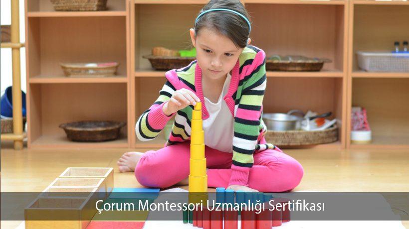Çorum Montessori Uzmanlığı Sertifikası