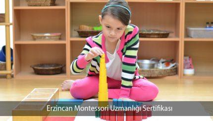 Erzincan Montessori Uzmanlığı Sertifikası