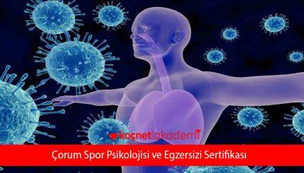 Çorum Spor Psikolojisi ve Egzersizi Sertifikası