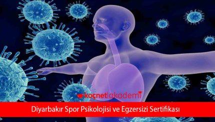 Diyarbakır Spor Psikolojisi ve Egzersizi Sertifikası