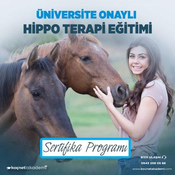 HIPPO min | Hippo Terapi Eğitimi ve Sertifikası Veren Üniversiteler - Koçnet Akademi