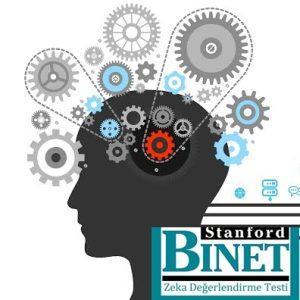 yapay zeka testleri | Stanford Binet Zeka Ölçeği Eğitimi - Koçnet Akademi