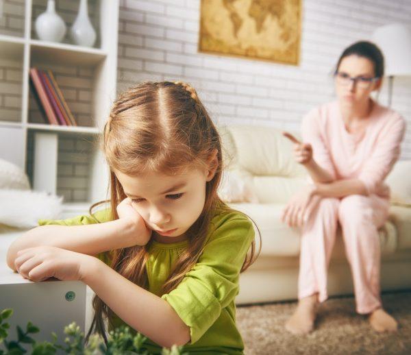 Temel Pedagoji Eğitimi Sertifikası Nerede Kullanılır ?