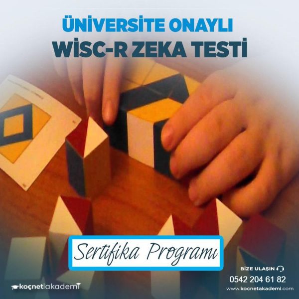 WISC-R Zeka Testi Eğitimi Sertifika Programı