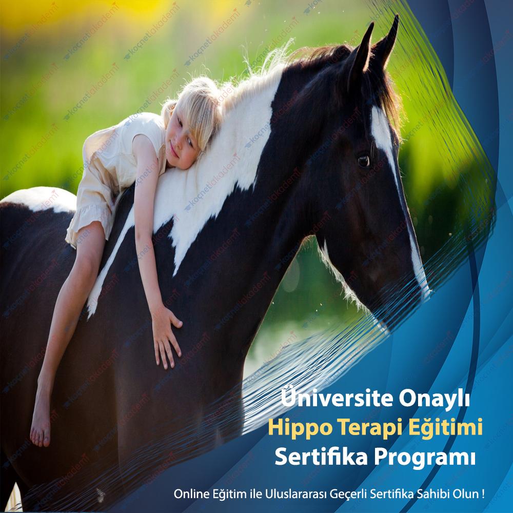 üniversite onaylı Hippo Terapi Eğitimi Sertifikası Programı