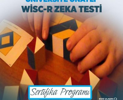 Üniversite Onaylı WISC-R Zeka Testi Eğitimi