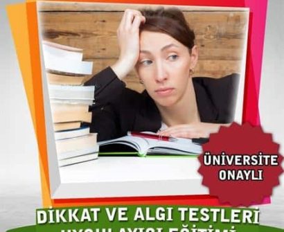 Dikkat ve Algı Testleri Uygulayıcı Eğitimi