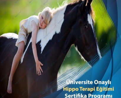 üniversite onaylı Hippo Terapi Eğitimi Sertifikası Programı